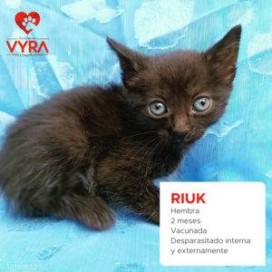 RIUK