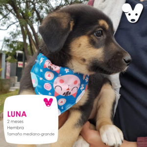 Luna