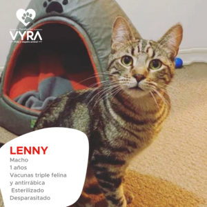 Lenny