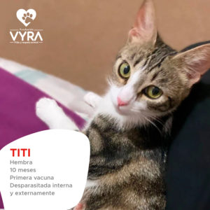 Titi