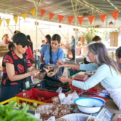 Ecoferia