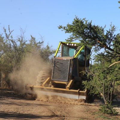 Trabajos preventivos ante incendios forestales en zona precordillerana