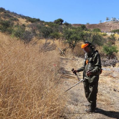 Prevenir incendios forestales