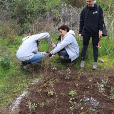 2.000 nuevos árboles nativos para el Parque Mahuida