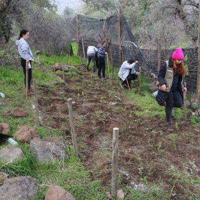 2.000 nuevos árboles nativos para el Parque Mahuida