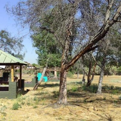 Un nuevo pulmón verde para La Reina