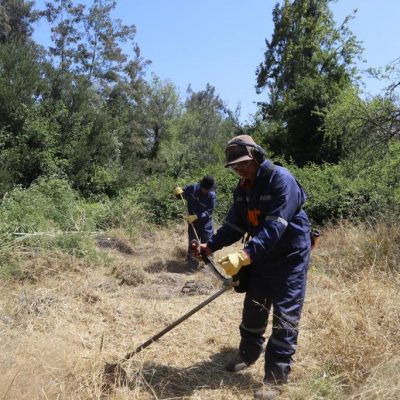 PREVENIR ES LO PRIMERO: LANZAMOS HISTORIETA EDUCATIVA SOBRE INCENDIOS FORESTALES