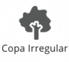 copa-irregular