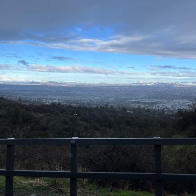 4.000 NUEVOS ÁRBOLES EN PARQUE MAHUIDA