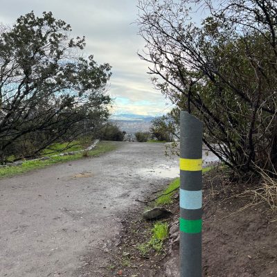 4.000 NUEVOS ÁRBOLES EN PARQUE MAHUIDA