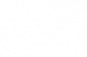 veolia2