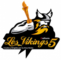 viking5-logo